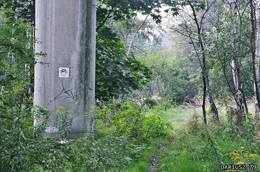 Mysłowice Brzęczkowice - Żółty szlak rowerowy