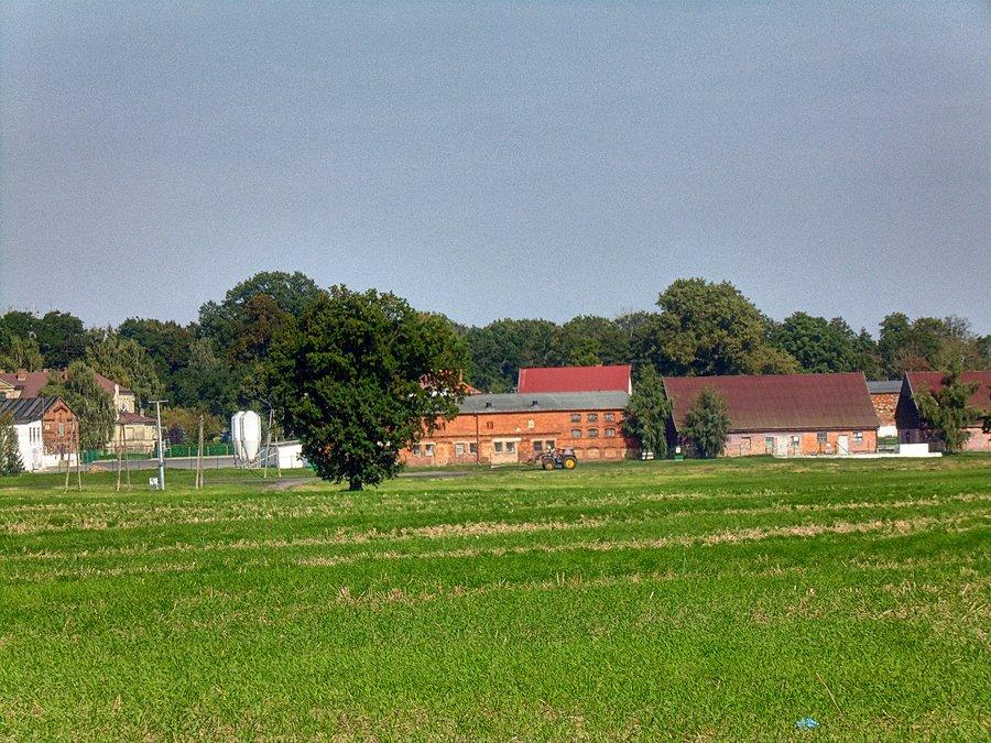 Zabudowania folwarczne w Strzyżnie