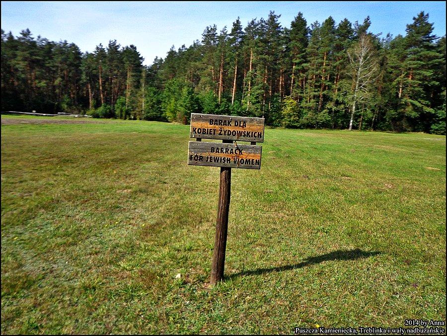 Treblinki, Hitlerowski Obóz Zagłady
