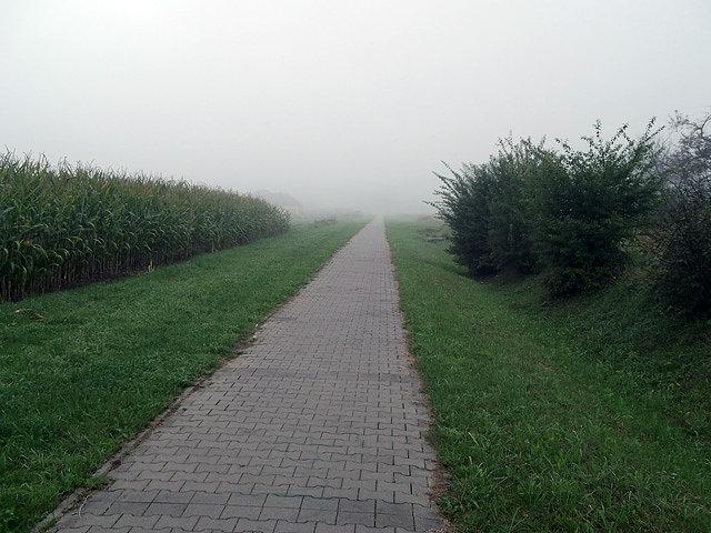 Ścieżka rowerowa