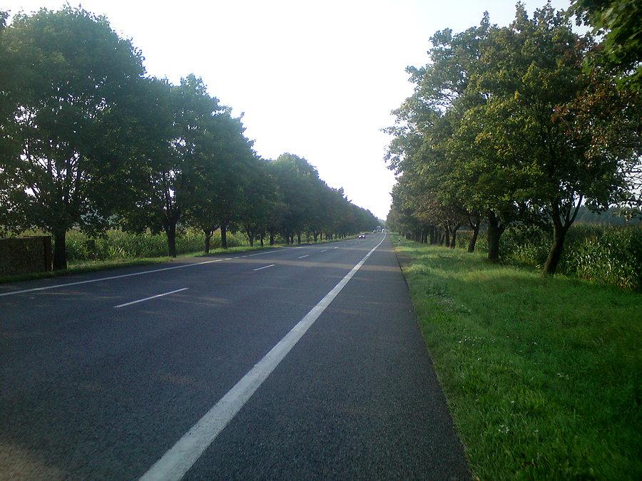 94: Strzelce Op. - Opole