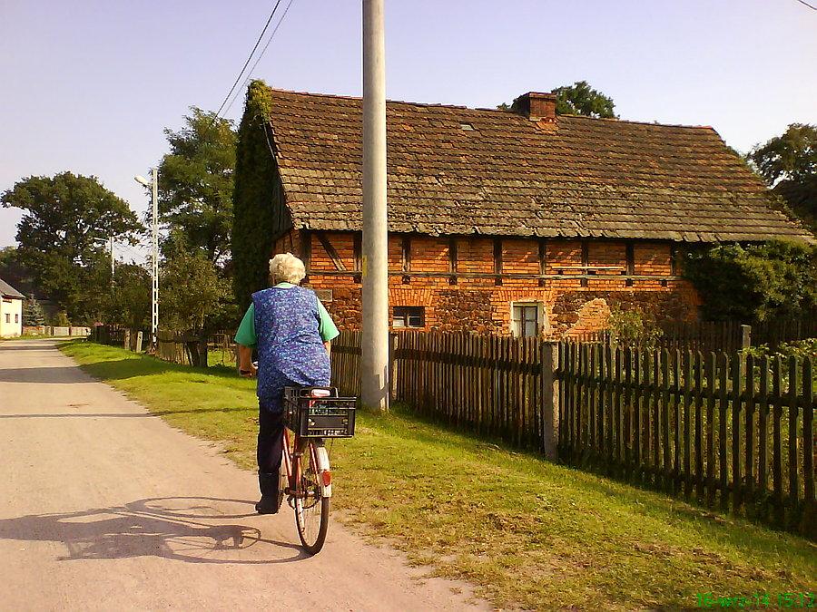 Wierzbowa (w czeluściach Borów Dolnośląskich)