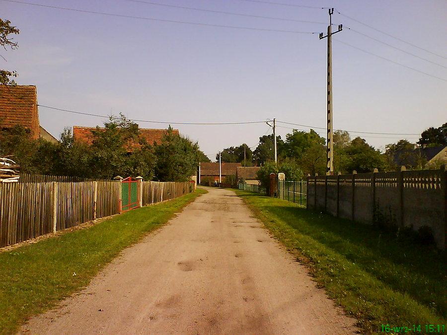 Wierzbowa (w czeluściach Borów Dolnośląskich)