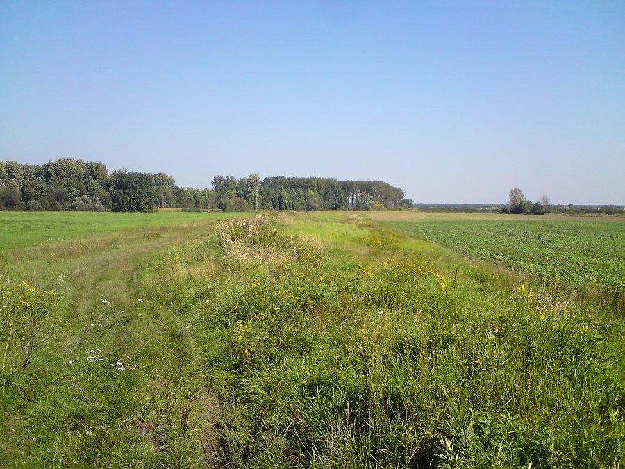 Wał czołowy polderu