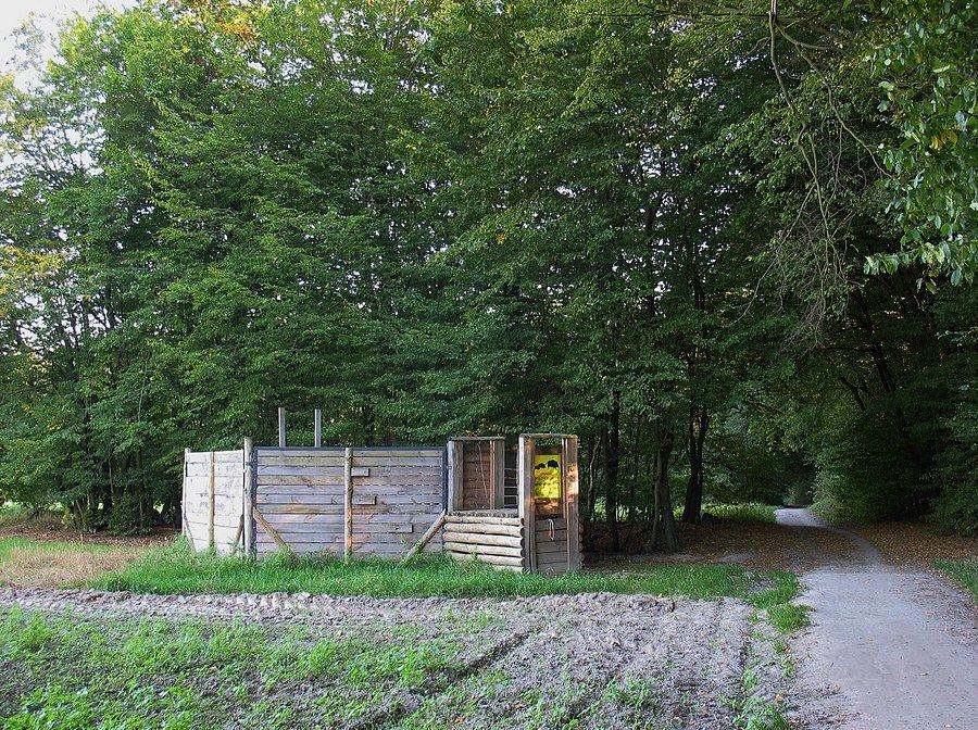 Odłownia dzików