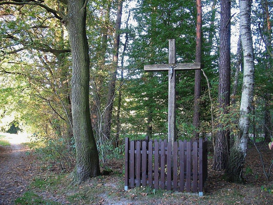 Krzyż na skraju Lasu Kabackiego