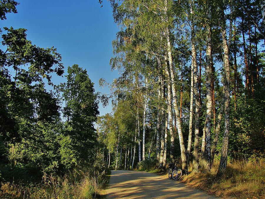 Po południowy wypad rowerowy. Okolice Tczewa