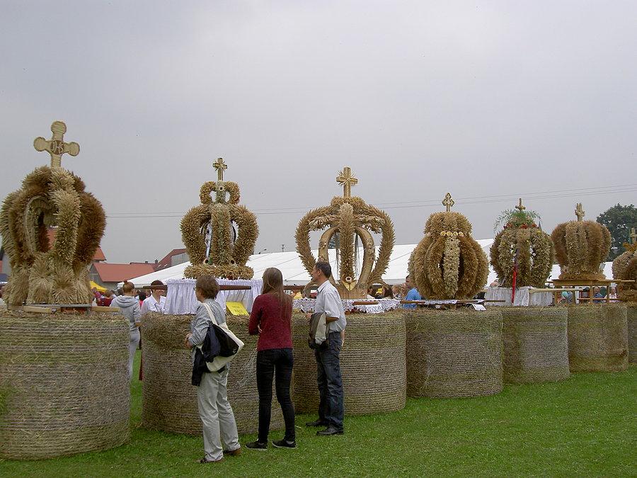 Korony żniwne