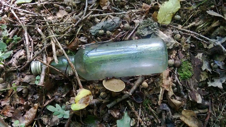 Grzyby też lubią alkohol