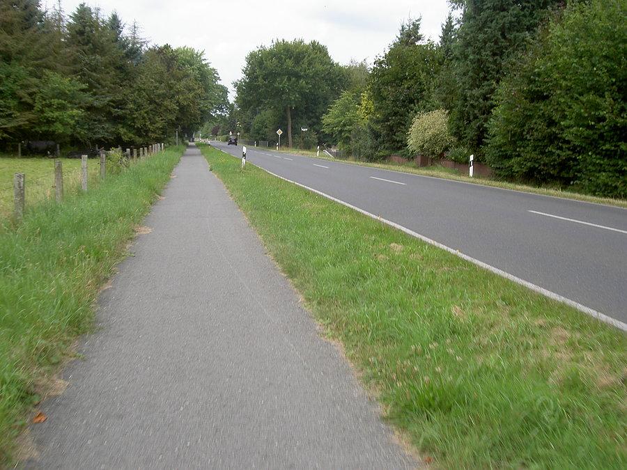 Drogi rowerowe to standard