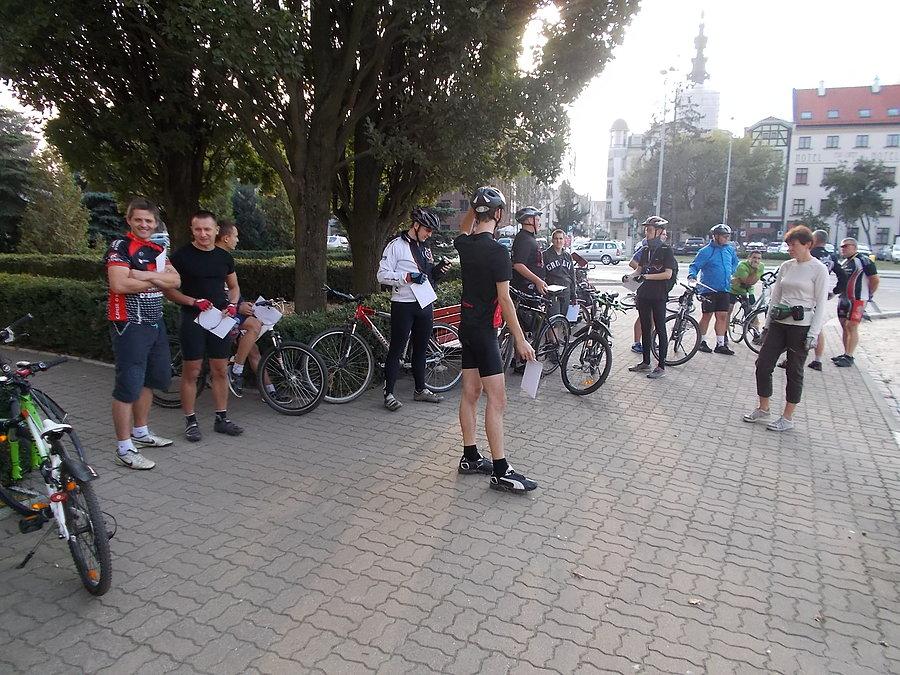 51 Elbląski Alleycat