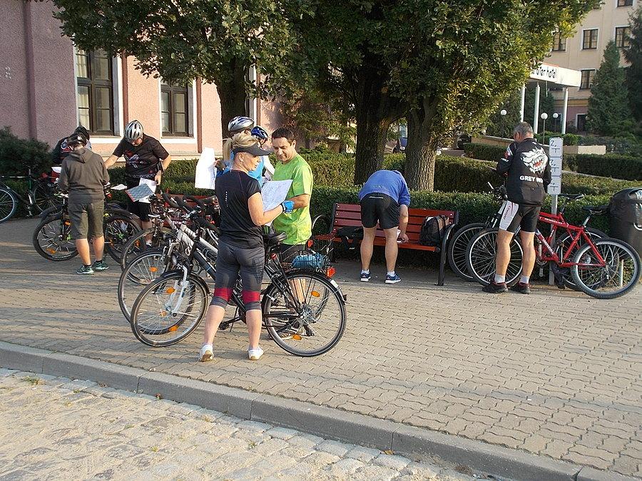 51 Elbląski Alleycat