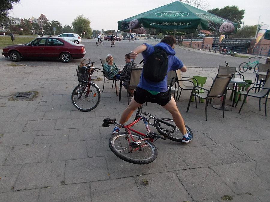 51 Elbląski Alleycat