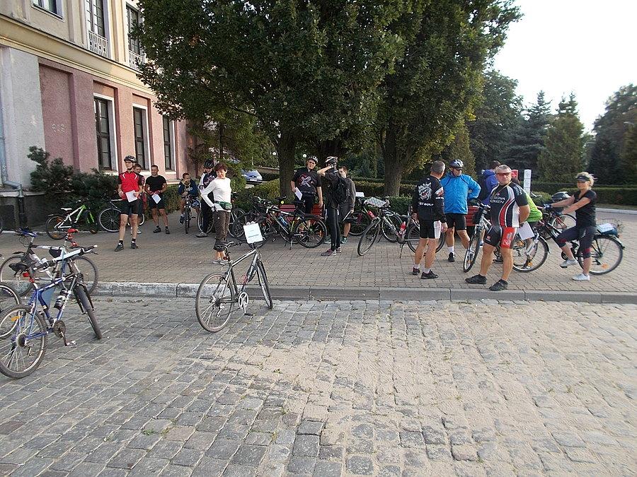 51 Elbląski Alleycat