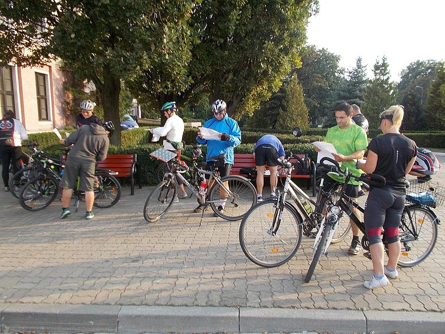 51 Elbląski Alleycat
