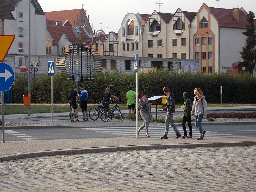 51 Elbląski Alleycat