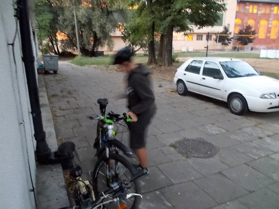 51 Elbląski Alleycat
