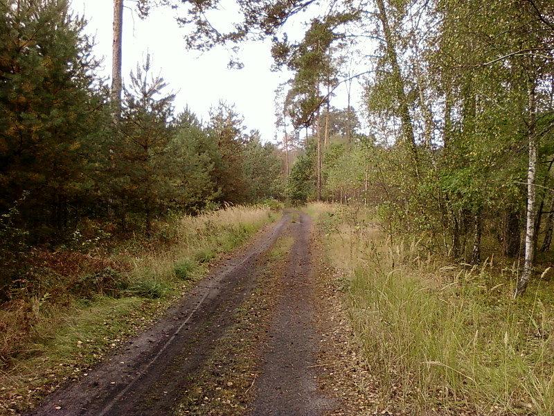 Fragment bardziej twardy