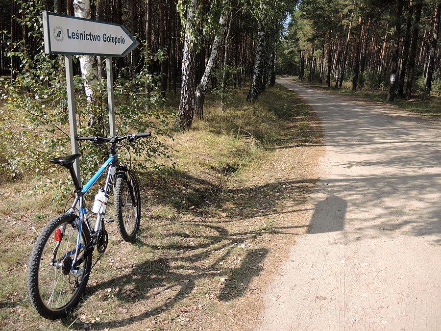 Zjazd do Leśniczówki Gołepole