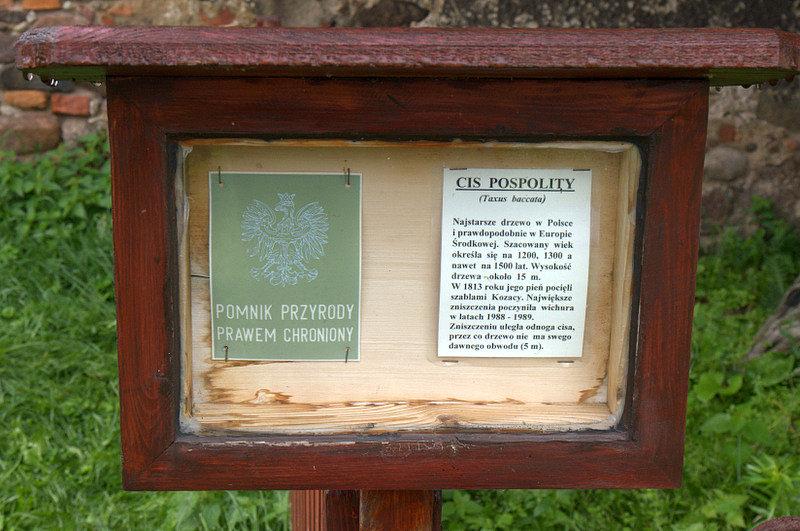 Pomnik przyrody prawem chroniony