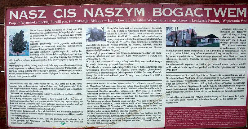 Nasz Cis Naszym Bogactwem