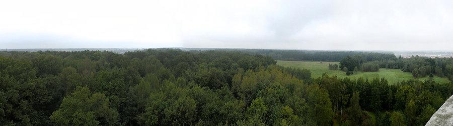 Panorama Lasu Mokrzańskiego