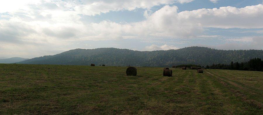 Pasmo Otrytu