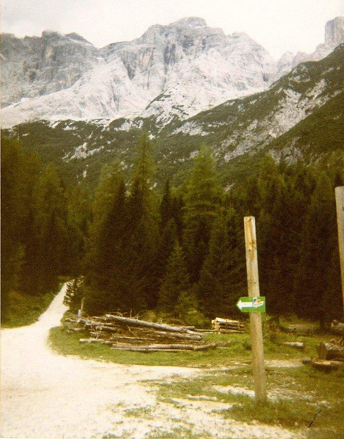 Civetta