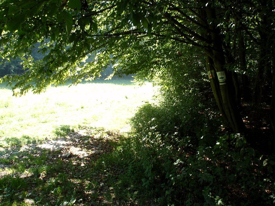 Oznaczenia szlaków