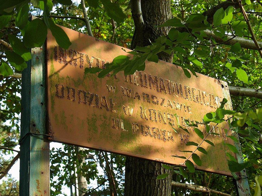 Zapomniana tablica Instytutu Reumatologii