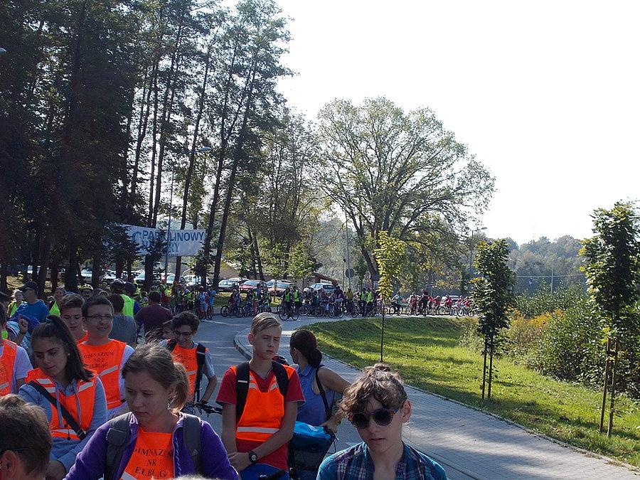 EDBS 2014 - przejazd rowerowy