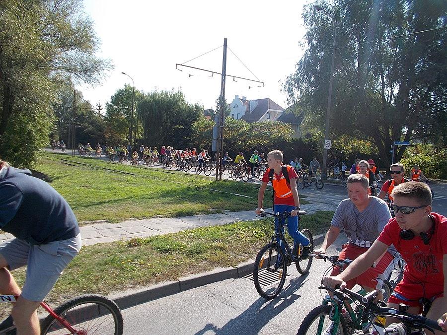 EDBS 2014 - przejazd rowerowy