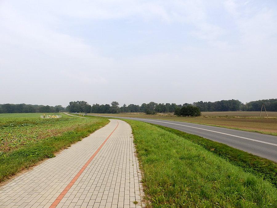 Droga Środa Śląska - Buczki