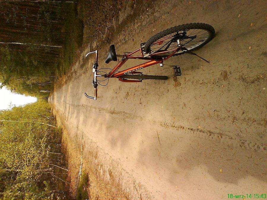 Typowa droga w Borach Dlnśl. (pół godziny jazdy i mamy kolejny zakręt i znów to samo...)