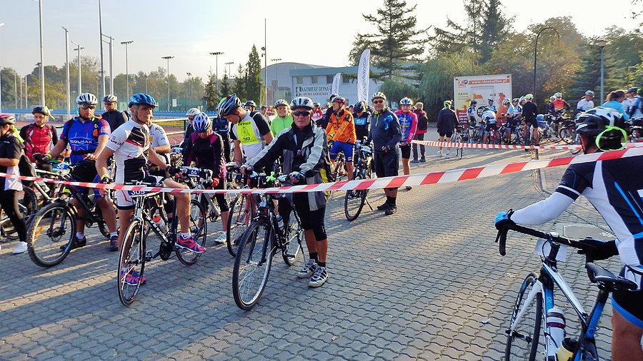 Maraton Kociewie Kołem. Na starcie