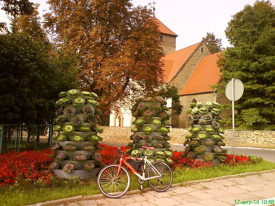 Kapuściane klomby w Legnickim Polu. Jak niewiele trzeba