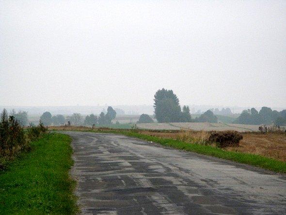 Gdzieś w kierunku Żółkiewki