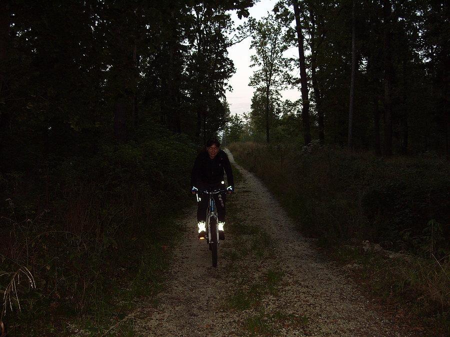 Dalej o zachodzie trochę laskiem