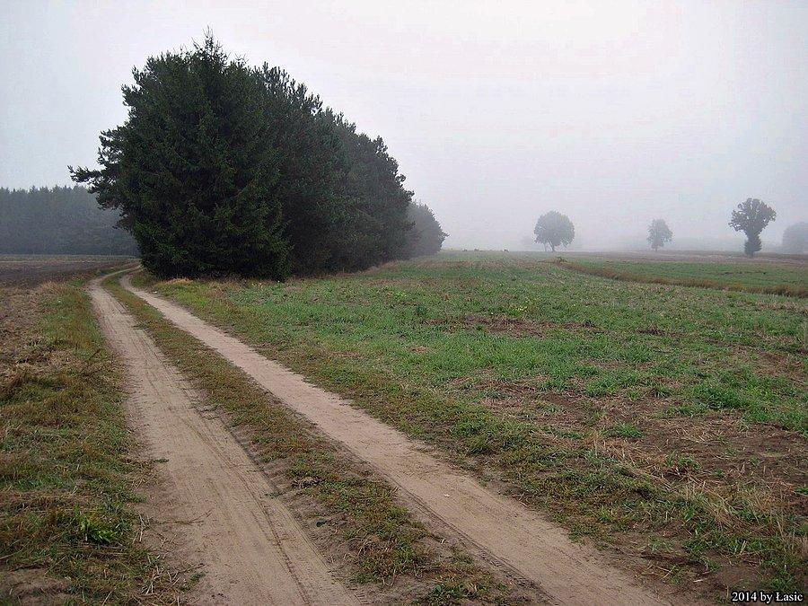 Sceneria jak z horroru