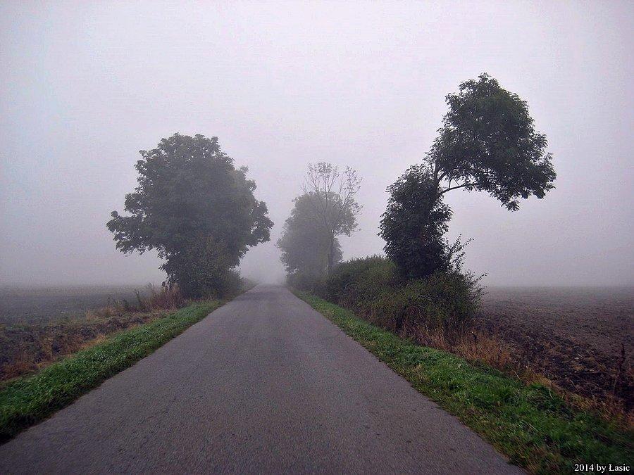 Sceneria jak z horroru!