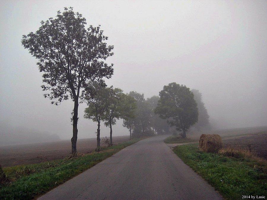 Sceneria jak z horroru!