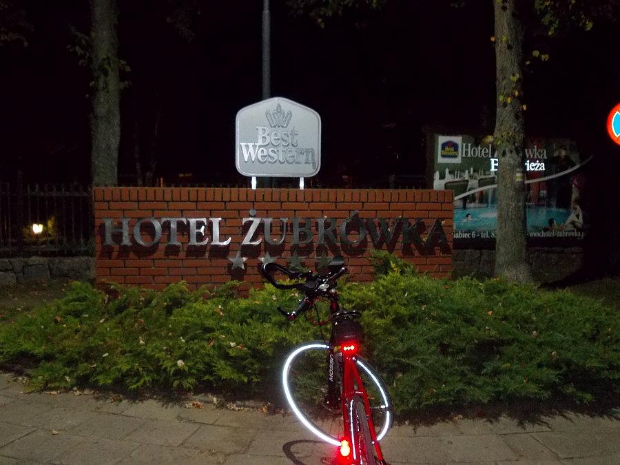 Białowieza nocą