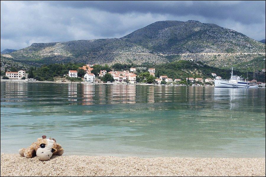 Żyrafka na plaży :)