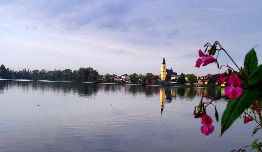 Staw w okolicy Dolní Benešova