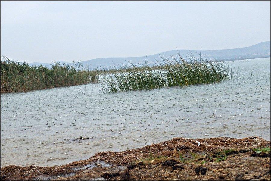 Deszczowo