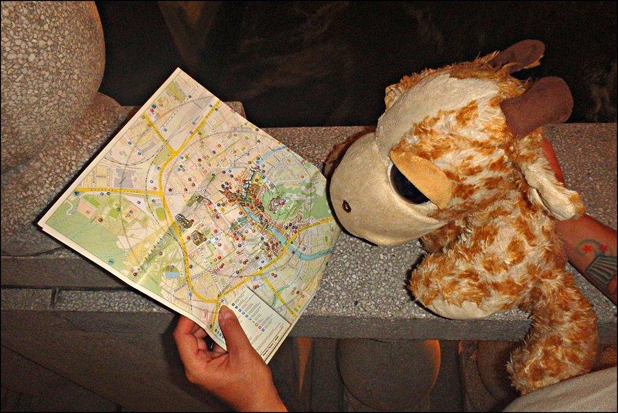 Żyrafka czyta mapę