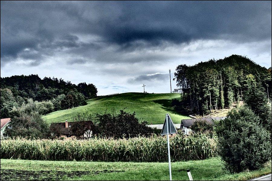 Widoczek