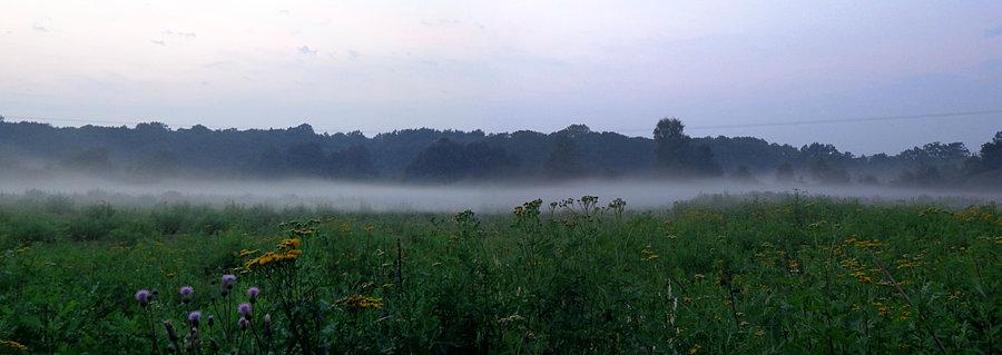 Wieczorne mgły w dolinie Odry