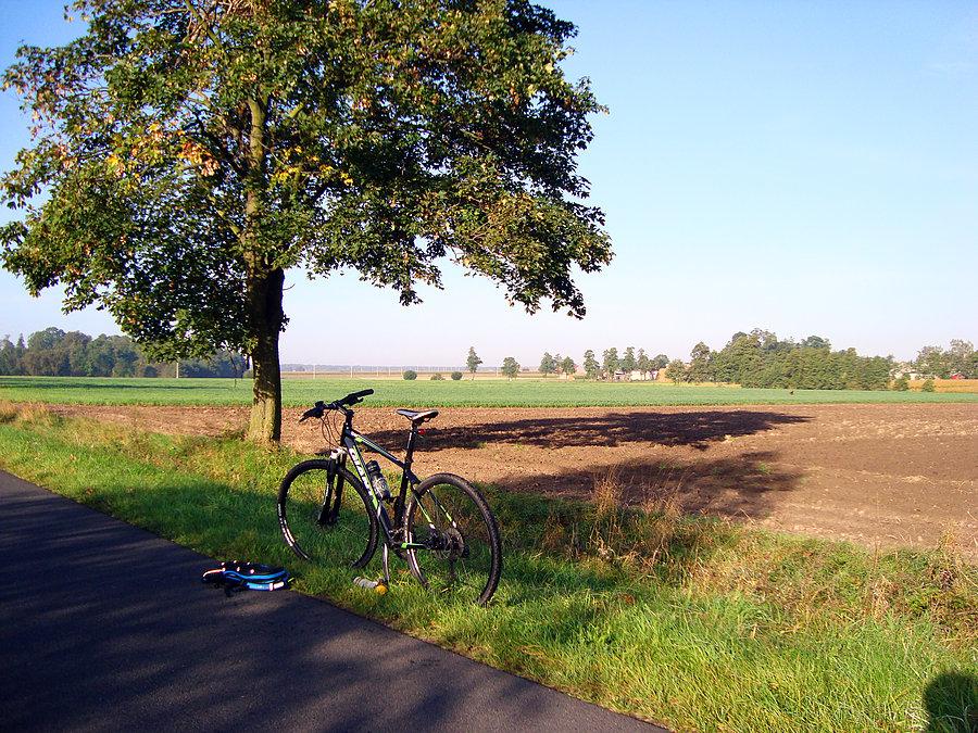 Pauza przed Bronowem