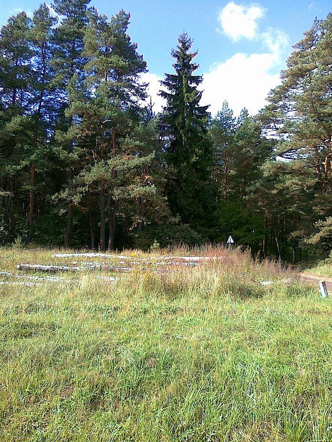Na skraju puszczy